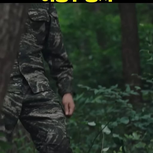 피드 이미지