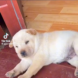 피드에 업로드 된 이미지