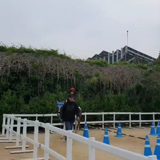 피드 이미지