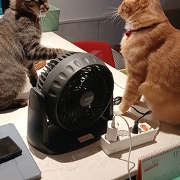 피드에 업로드 된 이미지