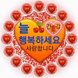 피드에 업로드 된 이미지