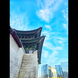 피드에 업로드 된 이미지