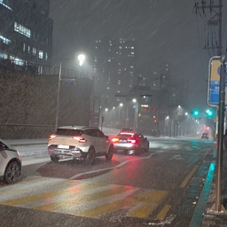 피드에 업로드 된 이미지